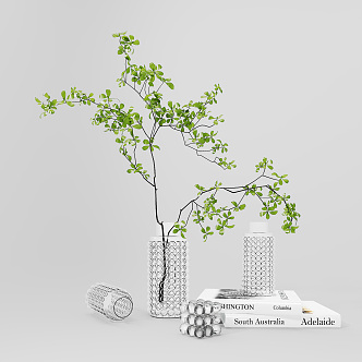 Modern Vase Hydroponic Plant Vase Floral Ornaments Jewelry Combination Illustration Branches Green Leaf Ornaments Jewelry Combination 3d model