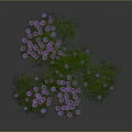 Vibrant Plant Featuring Purple Flowers Lush Green Leaves And Brown Branches