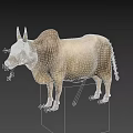 Light Brown Zebu Cow With Hump And Large Ears On Black Background
