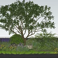 Flower Bed and Planter with Large Tree Colorful Flowers Decorative Stones and Paved Ground