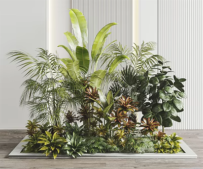 Lush Tropical Plants With Banana Leaves Palm Fronds Succulents And Green Foliage In Rectangular Planter 3d model