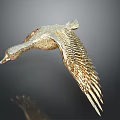 Golden Duck Sculpture Flying With Detailed Feathers On Dark Background With Reflection