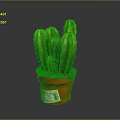 Green Multi Stemmed Cactus Plant in Red Pot for Indoor Decoration