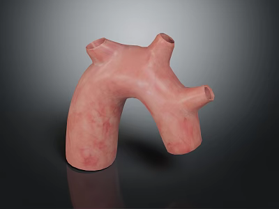 3D Rendered Human Organ Model With Pink Color And Hair Like Surface Structures 3d model