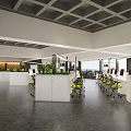 Contemporary Public Office Space Featuring Open Workstations Green Plants Ergonomic Chairs And Natural Lighting