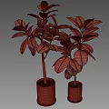 Lush Bonsai Potted Plant With Green Leaves And White Concrete Pot