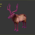 Brown Deer With Large Antlers Standing On Gray Background In Natural Posture