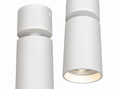 Stylish Modern White Downlights and Spotlights for Indoor Ceiling Lighting 3d model