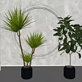 Tall Leafy Potted Plants In Gray Pots By White Wall With Circular Decor And Blinds