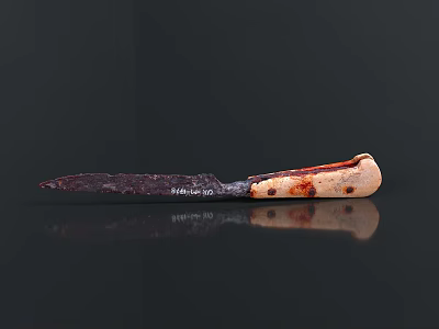 Vintage Handcrafted Knife With Weathered Blade And Speckled Wooden Handle 3d model