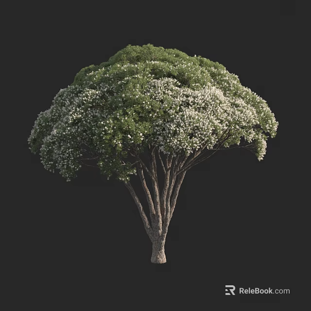 Lush Tree With Green Foliage And White Blossoms On Branching Trunk 3d model 