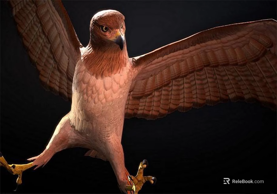 Brown Flying Eagle With Spread Wings And Yellow Talons In Dark Background 3d model 