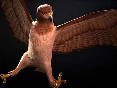 Brown Flying Eagle With Spread Wings And Yellow Talons In Dark Background 3d model