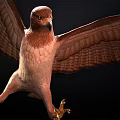 Brown Flying Eagle With Spread Wings And Yellow Talons In Dark Background 3d model