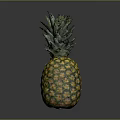 Fresh Ripe Pineapple with Green Leaves and Juicy Yellow Skin