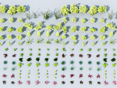 Modern Shrubs Flowering Shrubs model