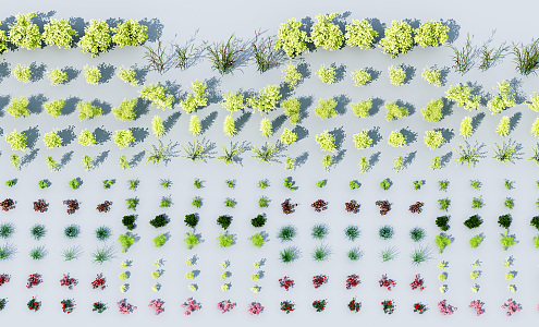 Modern Shrubs Flowering Shrubs 3d model