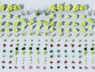 Modern Shrubs Flowering Shrubs 3d model