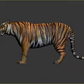 Realistic Tiger With Orange And Black Stripes Standing On Dark Reflective Background