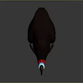 Cassowary With Brown Casque Blue Red Neck Black Body And Long Legs Standing
