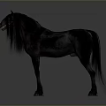 Black Horse With Long Mane And Tail Standing On Gray Background