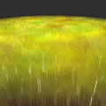 Vibrant Yellow and Green Grass Plant Painting with Natural Texture Artwork