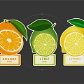 Colorful Fruit Freshness Labels With Sliced Orange Lime Lemon And Leaf Design 3d model