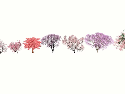 Colorful Flowering Arbor Trees In Various Pink Purple And Red Hues 3d model