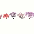 Colorful Flowering Arbor Trees In Various Pink Purple And Red Hues