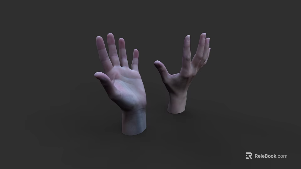 Realistic 3D Model of Woman's Hands on Grey Background 3d model 