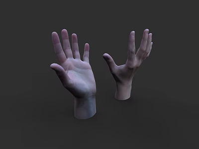 Realistic 3D Model of Woman's Hands on Grey Background 3d model