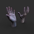 Realistic 3D Model of Woman's Hands on Grey Background
