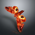 Decorative Butterfly Ornament With Orange Brown Wings And Eye Spots Detail Design