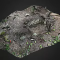 Natural Garden Landscape Featuring Moss Covered Stone Wall And Surrounding Soil With Fallen Leaves