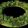 Diverse Circular Plant Combination with Lush Green Trees and Grass Surroundings