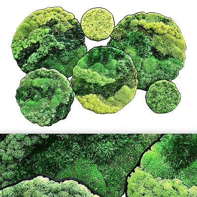 Decorative Natural Round Green Moss Wall Decor for Home Interior 3d model