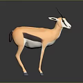 3D Light Brown Antelope Featuring Dark Back Stripe Curved Horns And Reflection On Dark Background