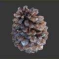 Pine Cone Inspired Food Creation With Natural Organic Shape 3d model