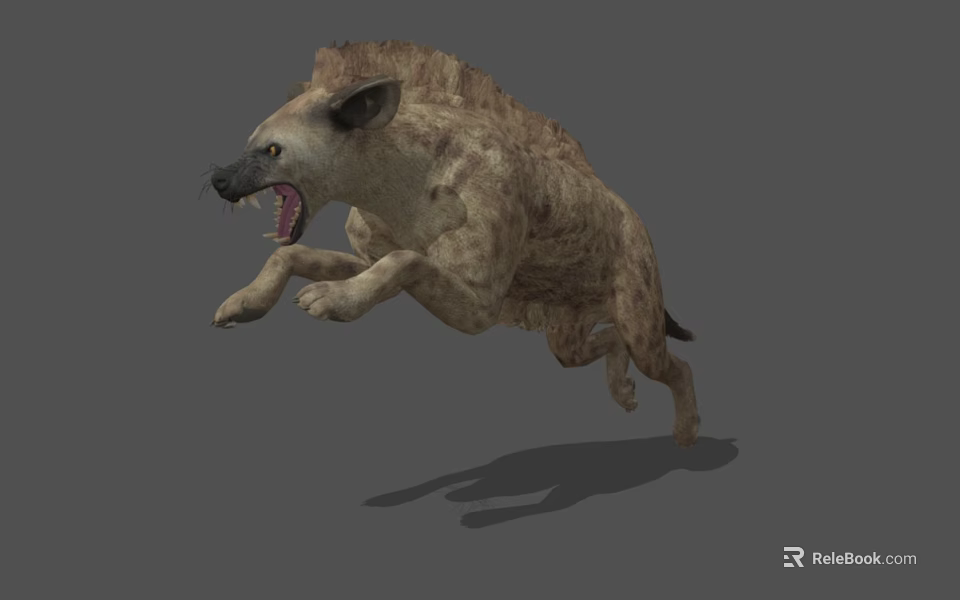 Hyena 3D Model Showing Open Mouth With Teeth While Jumping On Gray Background 3d model 