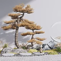 Japanese Style Courtyard Garden with Stylized Pine Tree Moon Shaped Decor Stones Moss and Grasses