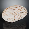 White Textured Seashell With Hollow Patterns And Intricate Surface Details On Dark Background 3d model