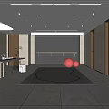 Modern Leisure Room With Exercise Balls Desk And Mirror 3d model
