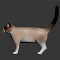 3D Rendered Cat Model With Brown White Fur Blue Eyes Black Tail On Dark Background