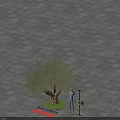 Garden Landscape Featuring Olive Tree With 3.5m Diameter On Square Paved Ground