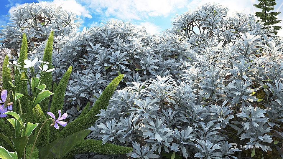 Silver Gray Shrubs with Soft Leaves Surrounded by Green Foliage and Purple Flowers 3d model 