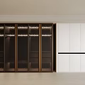 Modern Wardrobes Design Dark Colored With Golden Frames Glass Doors And White With Black Stripe
