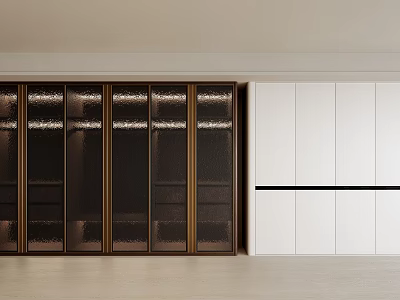 Modern Wardrobes Design Dark Colored With Golden Frames Glass Doors And White With Black Stripe 3d model