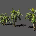 Various Arbor Trees With Green Leaves And Different Trunk Shapes 3d model