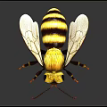 Detailed Yellow and Black Striped Bee with Transparent Wings on Dark Background