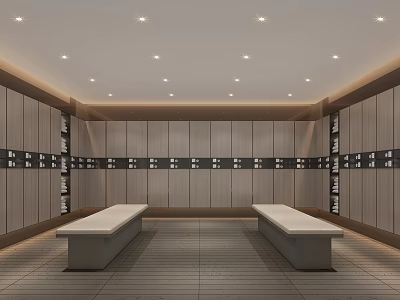 Modern Locker Room Interior With Lockers Benches And Ceiling Lights 3d model
